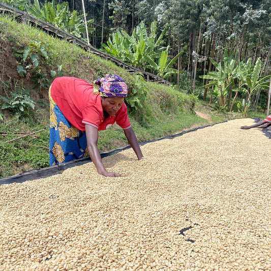 RWANDA | Gisheke CWS