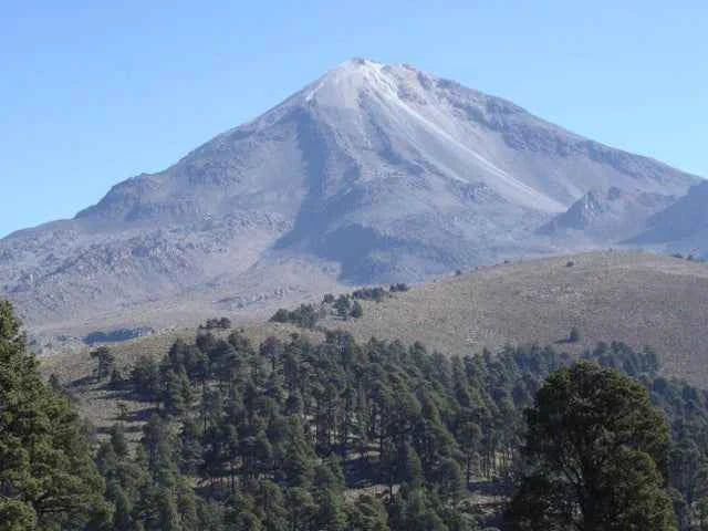 MEXICO | Chiapas Decaf