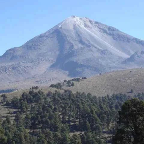 MEXICO | Chiapas Decaf