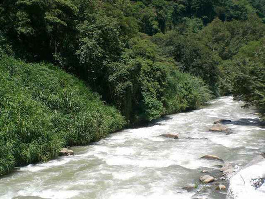 MEXICO | Chiapas Decaf