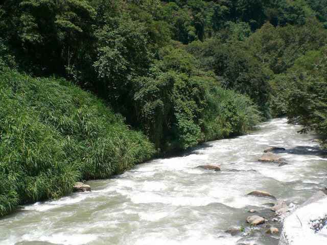 MEXICO | Chiapas Decaf