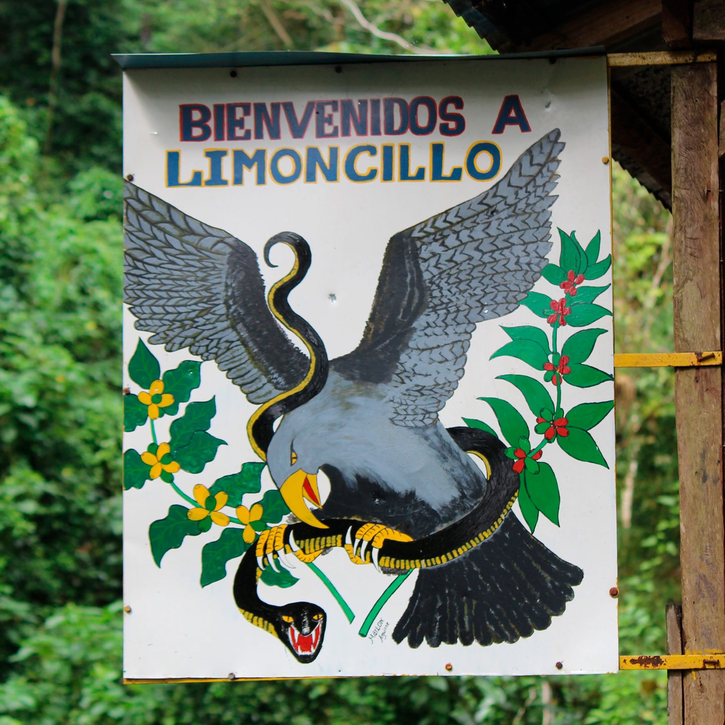 NICARAGUA | El Limoncillo 150g