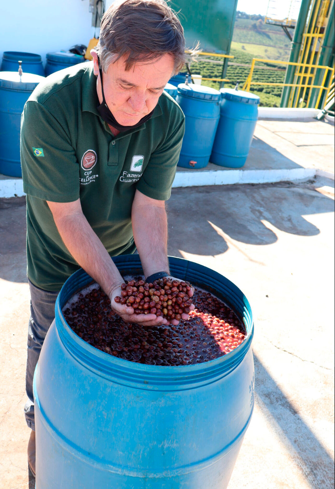 BRAZIL | Fazenda Guariroba
