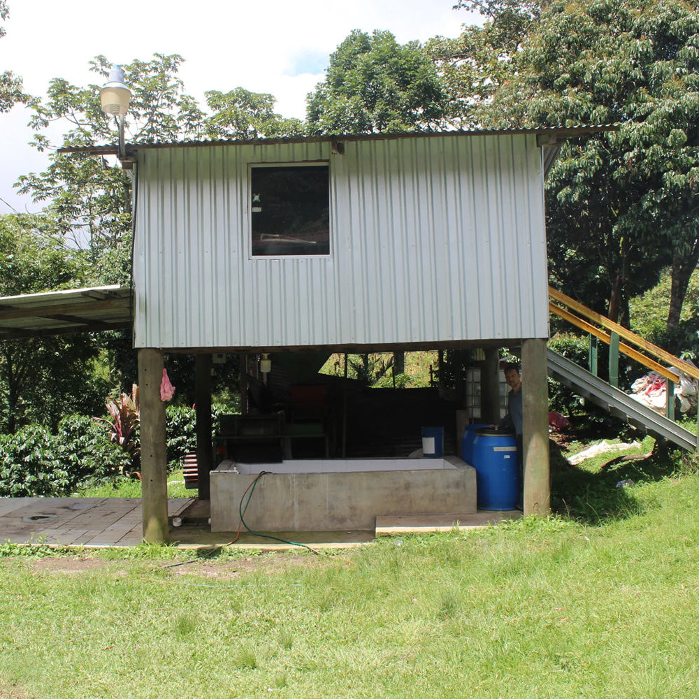 HONDURAS | Franklin Madrid