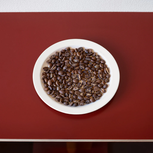 GUATEMALA | Teodoro Engelhardt