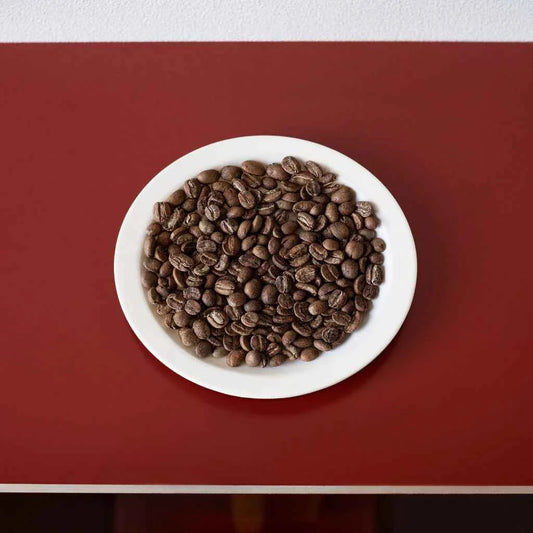 COLOMBIA | Oscar Tobar Geisha 150g