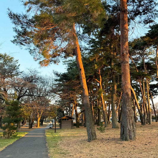 SHIKISHIMA | Signature BLEND