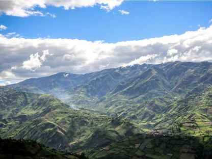 COLOMBIA | Gerardo Castaneda 150g