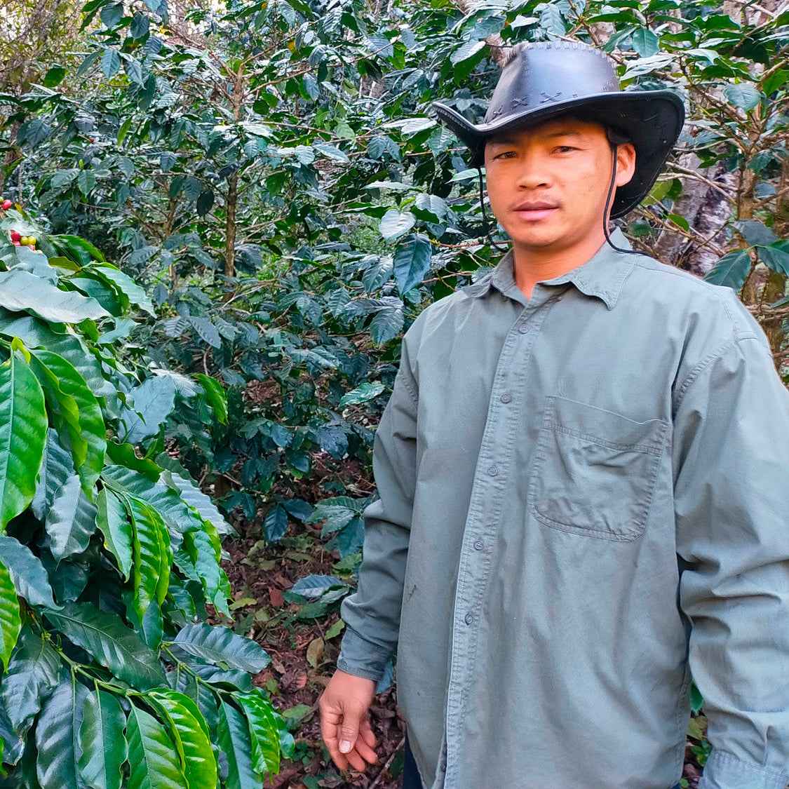 THAI | Inthirit Wuiyaku 150g