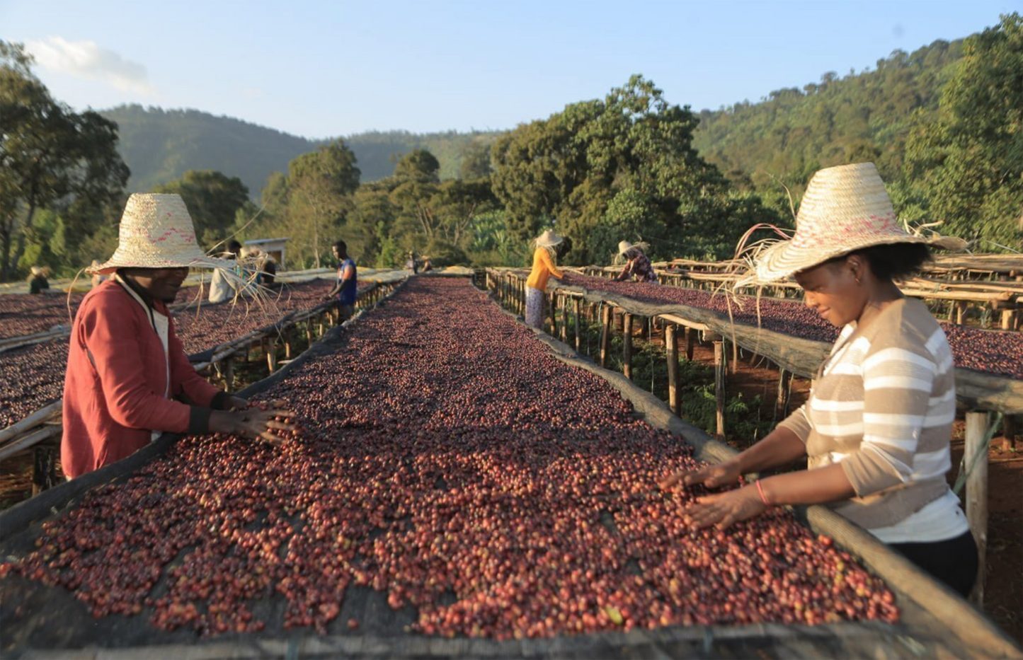 ETHIOPIA | Buku Sayisa