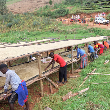 BURUNDI | Karambo Washed 150g