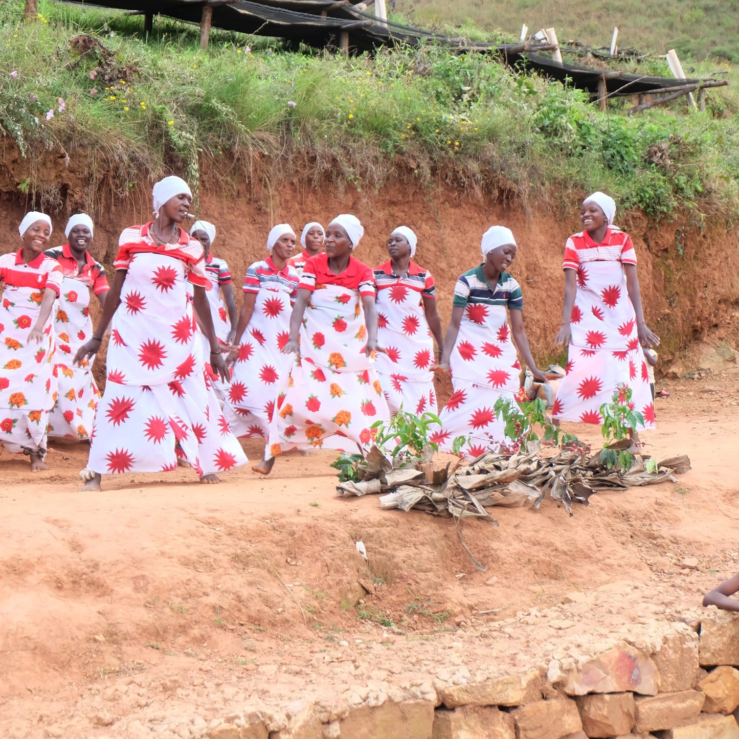 BURUNDI | Karambo Washed 150g