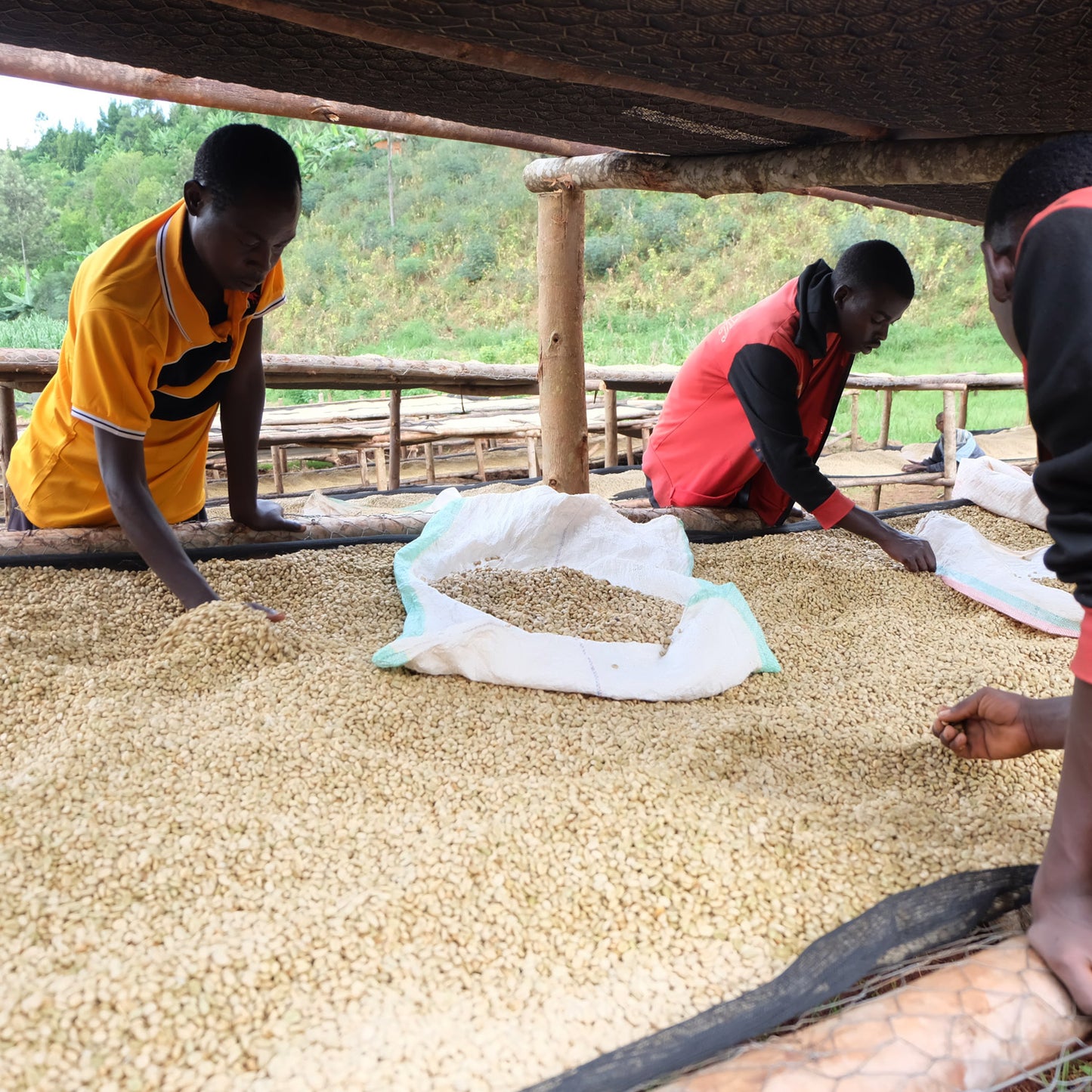 BURUNDI | Karambo Washed 150g