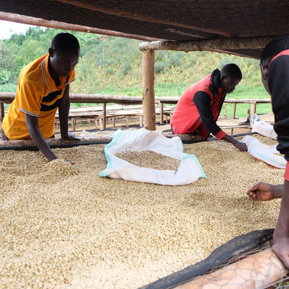 BURUNDI | Karambo Washed 150g