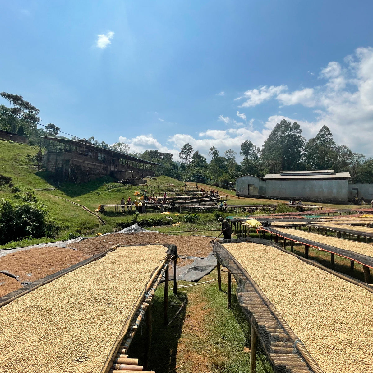 ETHIOPIA | Chire 150g