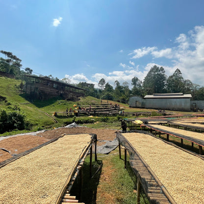 ETHIOPIA | Chire 150g