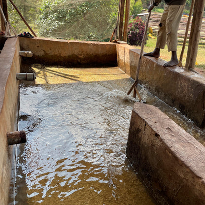 ETHIOPIA | Chire 150g