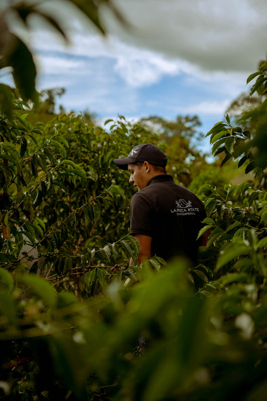 COLOMBIA | Yeison Vargas
