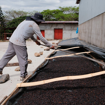 NICARAGUA | Sergio Noe Ortez 150g