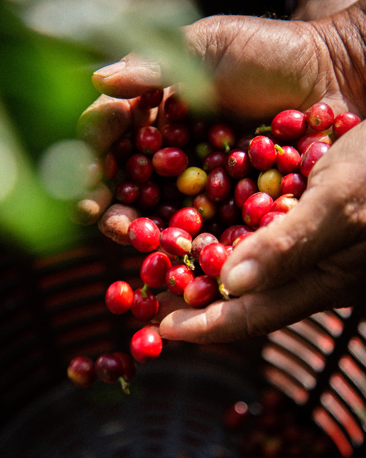 GUATEMALA | Antonia Medina