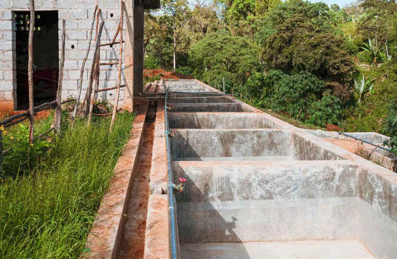 ETHIOPIA | Guji Shakiso