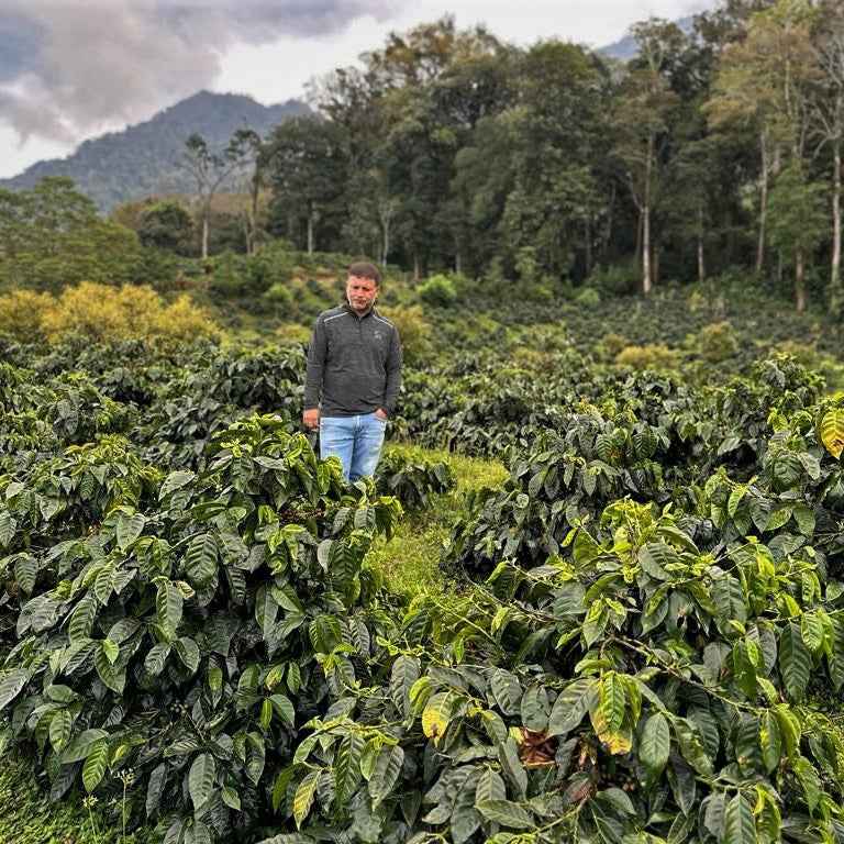 HONDURAS | Angel Arturo Paz 150g