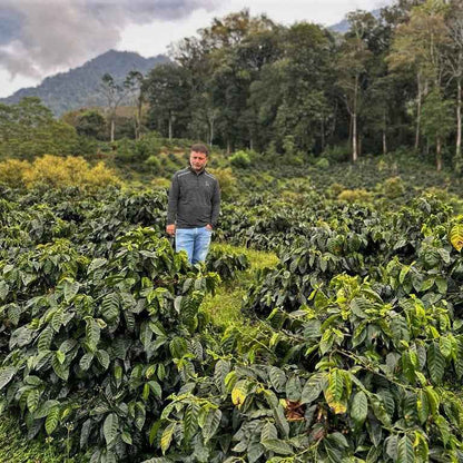 HONDURAS | Angel Arturo Paz 150g