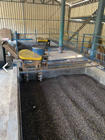 BRAZIL | Sitio Sao Pedro