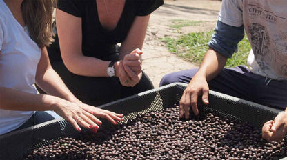 BRAZIL | Sitio Sao Pedro