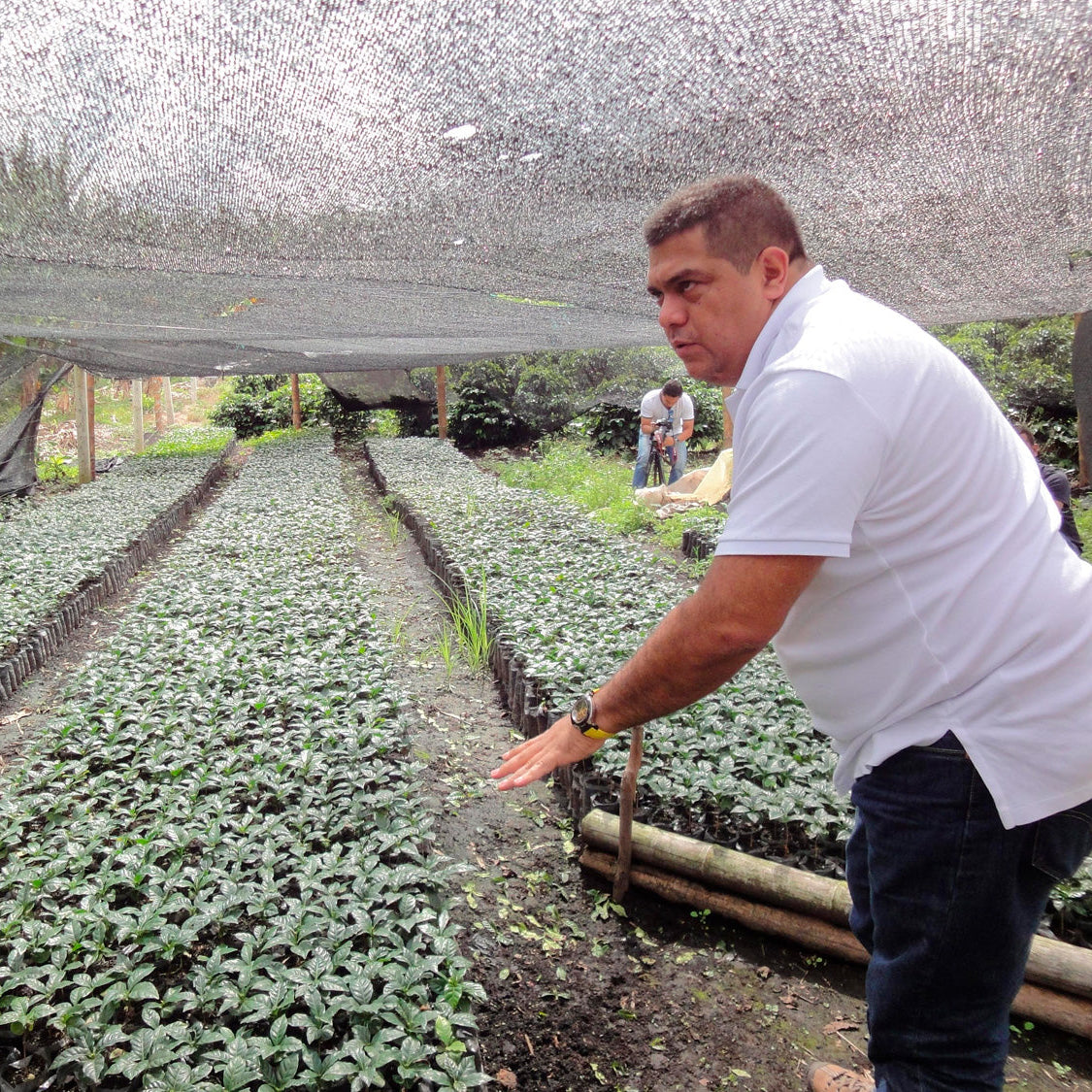 COLOMBIA | Gerardo Castaneda 150g