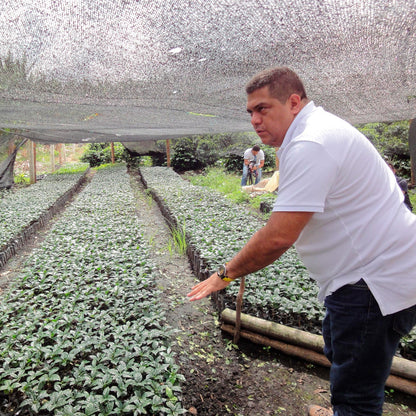 COLOMBIA | Gerardo Castaneda 150g