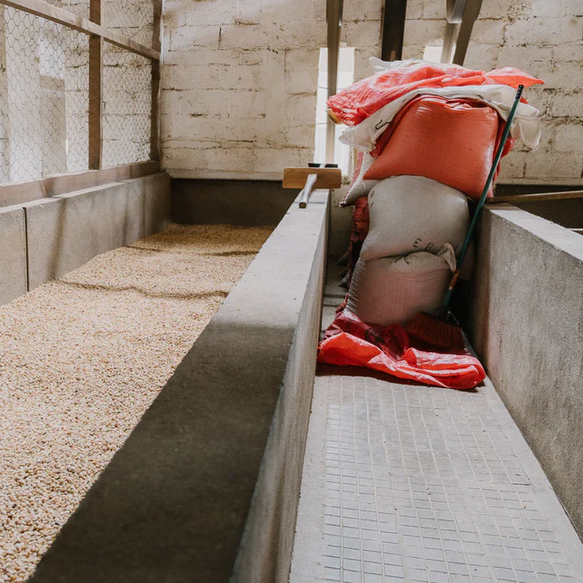 GUATEMALA | Teodoro Engelhardt