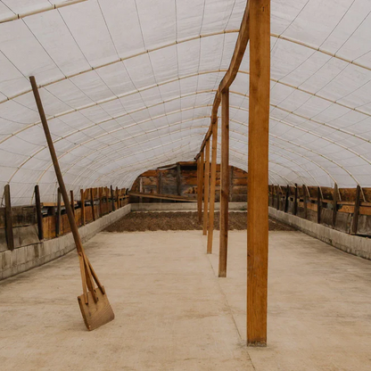 GUATEMALA | Teodoro Engelhardt