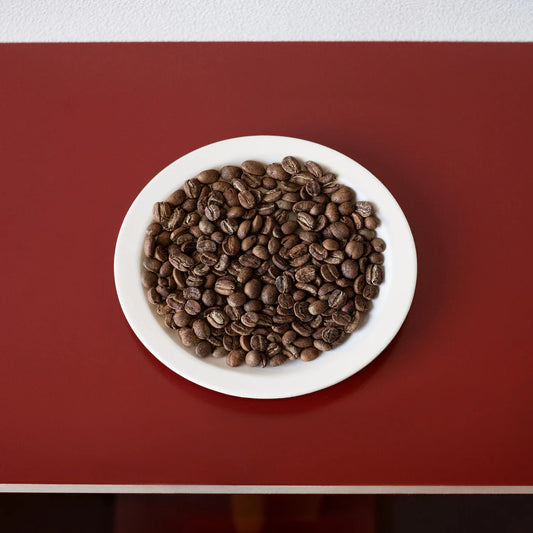 COLOMBIA | Oscar Tobar Geisha 150g