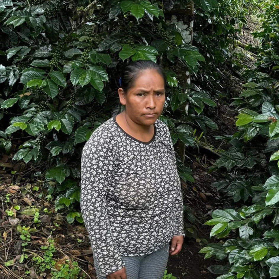 PERU | Profeta Andarapiño 150g