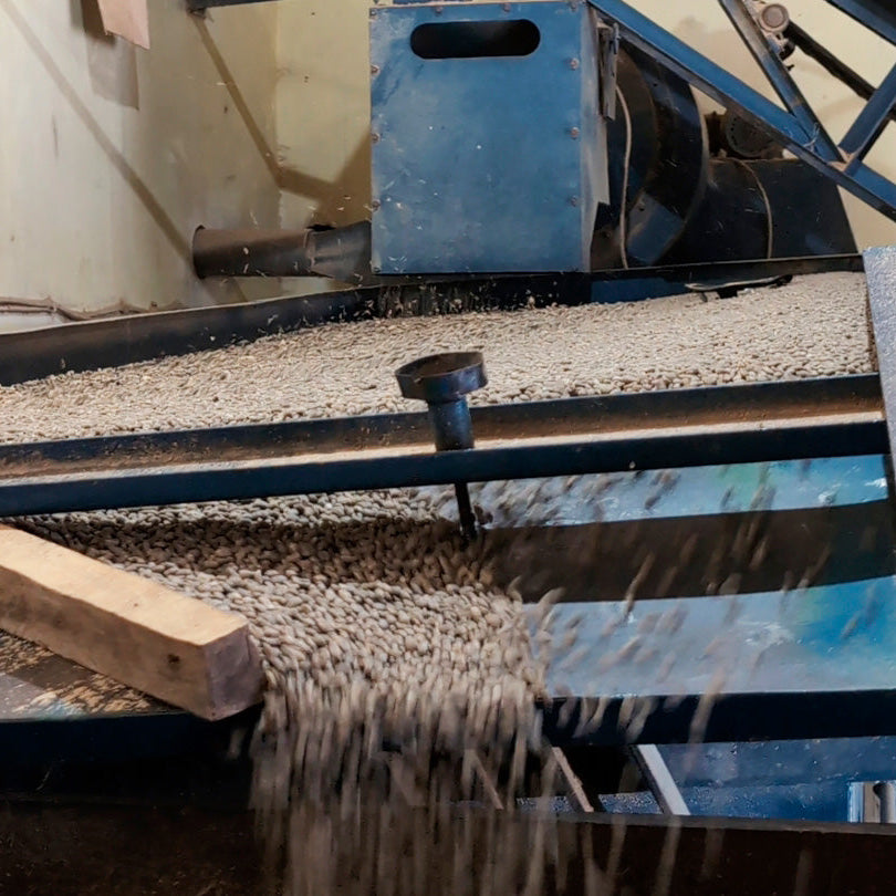 INDONESIA | Alphinar Lumbangaol